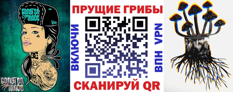 Псилоцибиновые грибы Cubensis  купить наркоту  Нахабино 
